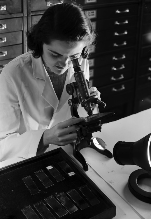 tumblr_p48vt3GXgA1sfie3io1_540 Archival black and white photograph of a researcher examining slides under a microscope, illustrating close scrutiny of a valuation gap